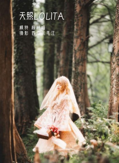 唐人街探案网剧第二季_HD日韩免费观看