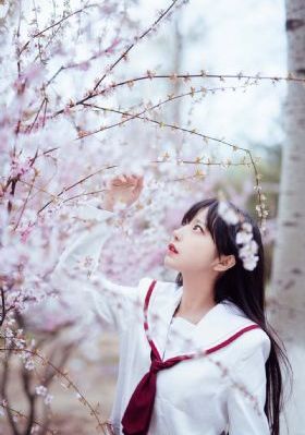 玫瑰故事40集免费观看_1080P视频大全